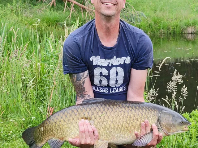 Graskarpfen