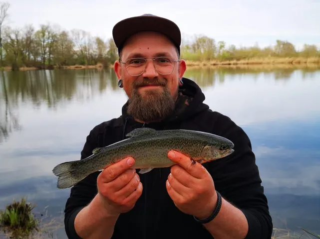 Regenbogenforelle