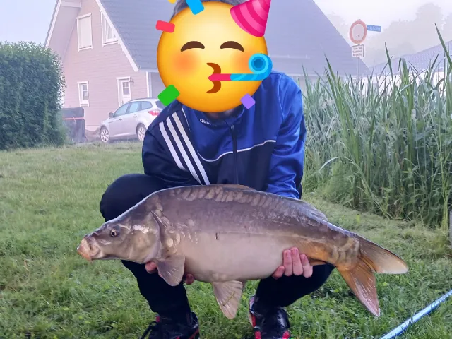 Karpfen