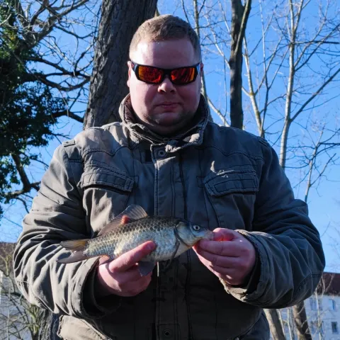 Giebel
