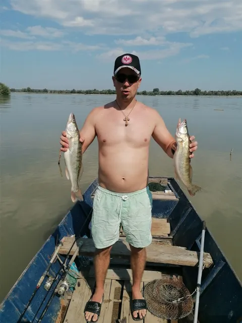 Zander