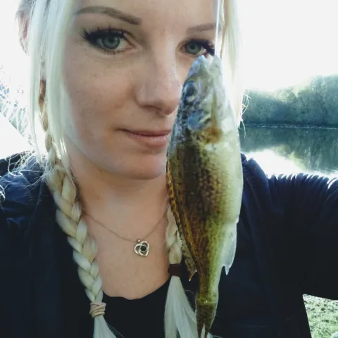 Kaulbarsch