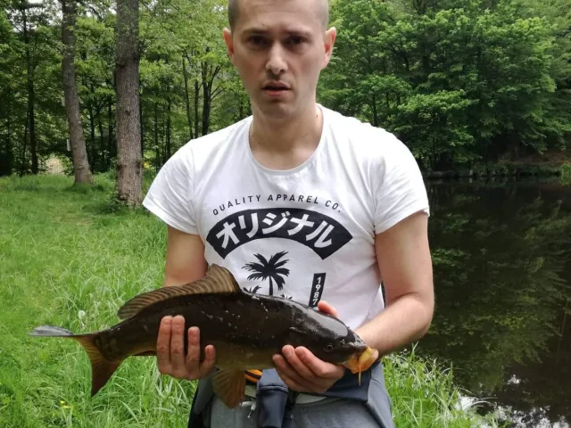 Karpfen