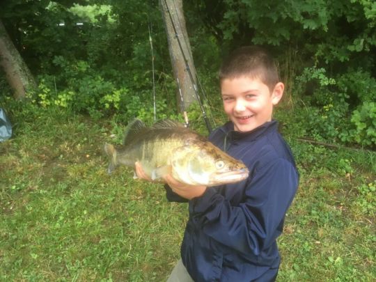 Zander