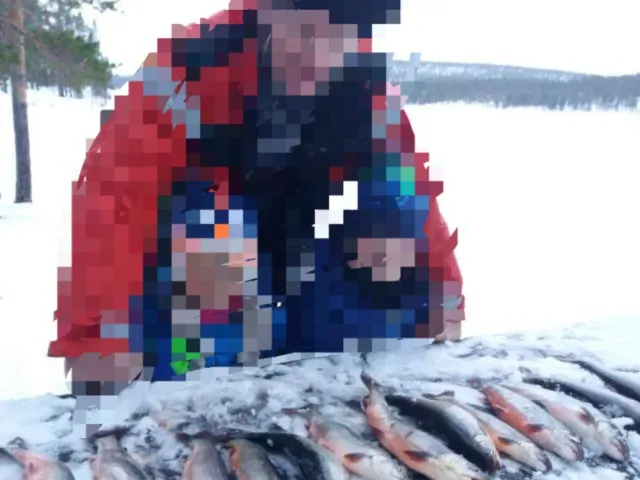 Seesaibling