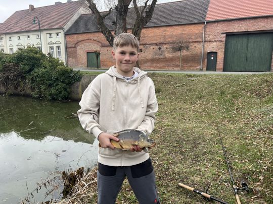 Karpfen