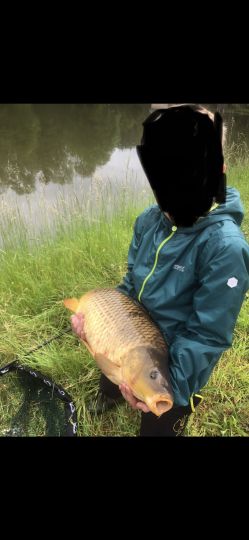 Karpfen