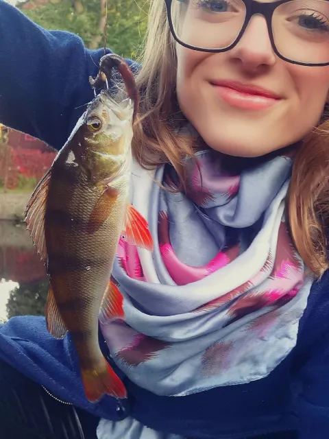 Flussbarsch