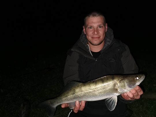 Zander