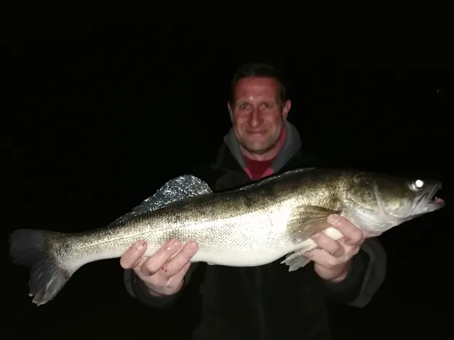 Zander