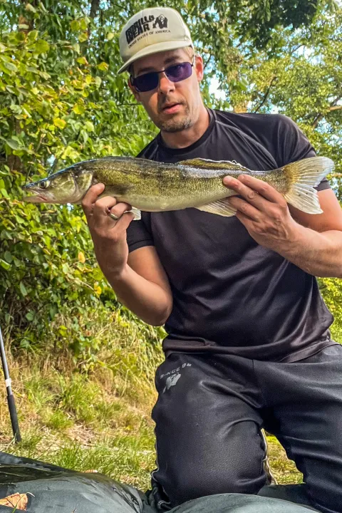 Zander