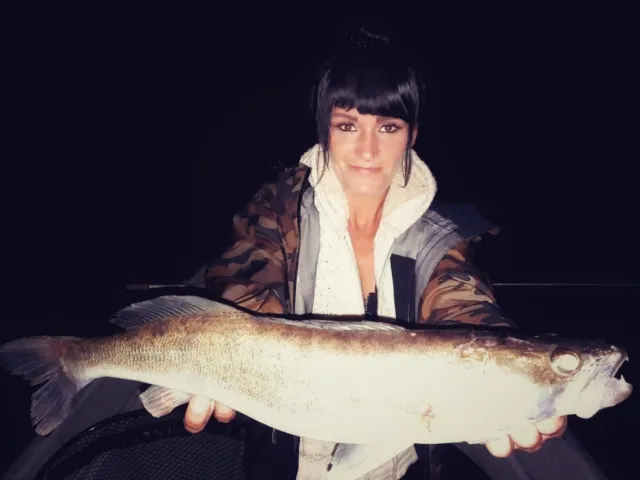 Zander