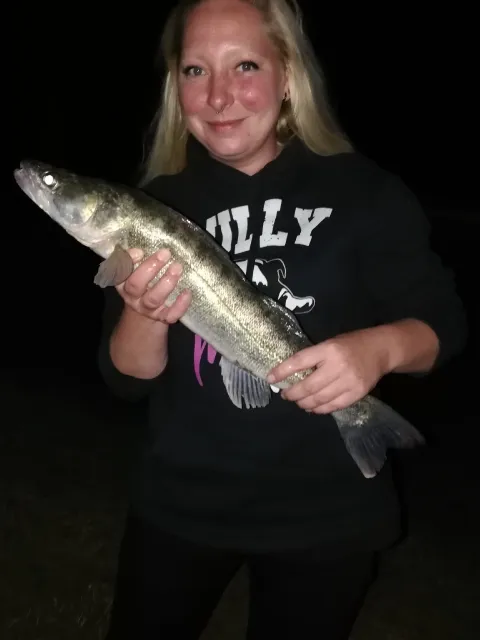Zander
