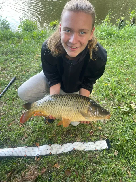 Karpfen