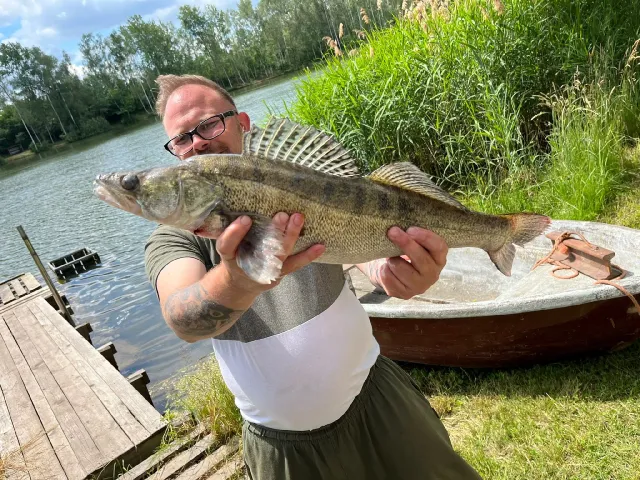 Zander