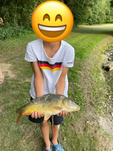 Karpfen