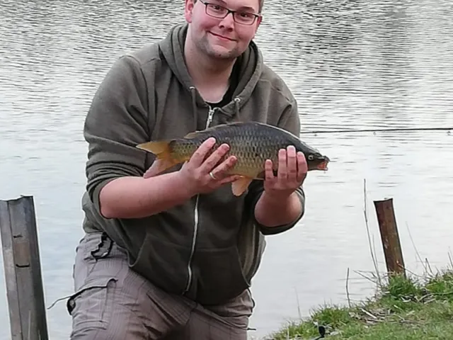 Karpfen