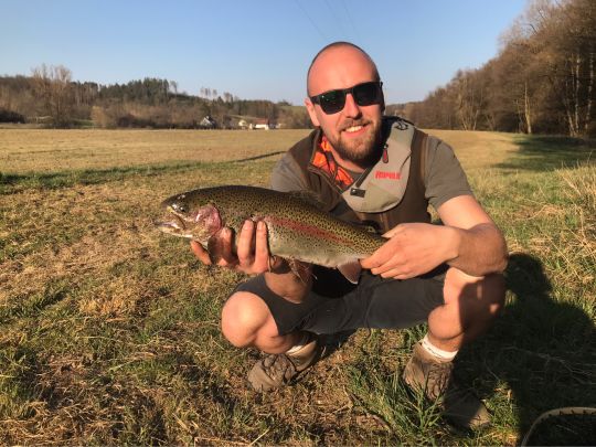 Regenbogenforelle