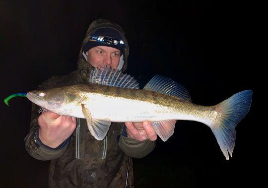 Zander