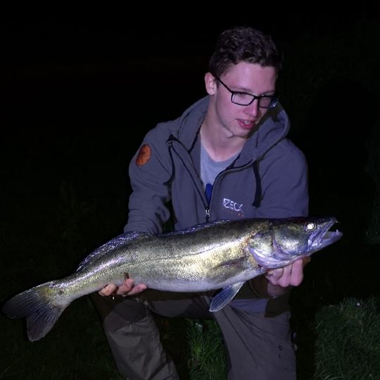 Zander