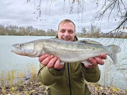 Zander