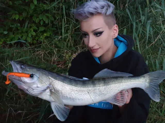 Zander