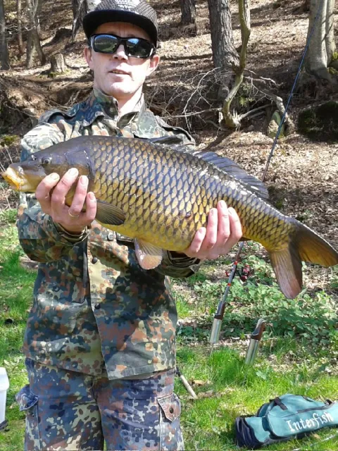 Karpfen