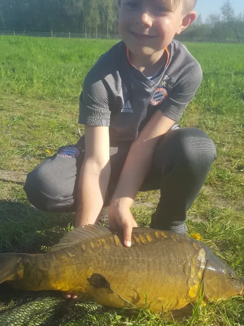 Karpfen