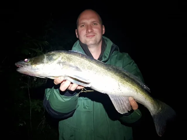 Zander