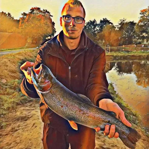 Regenbogenforelle