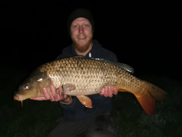 Karpfen