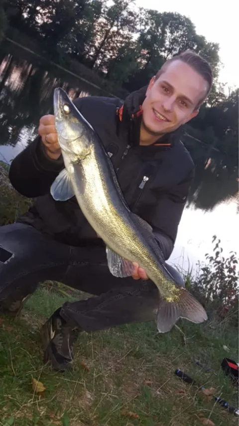 Zander