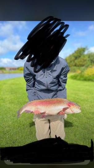 Regenbogenforelle