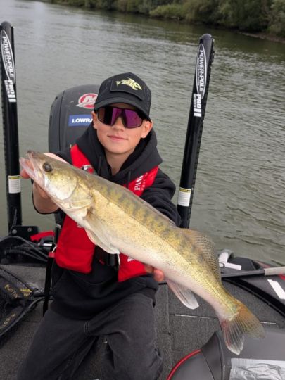 Zander