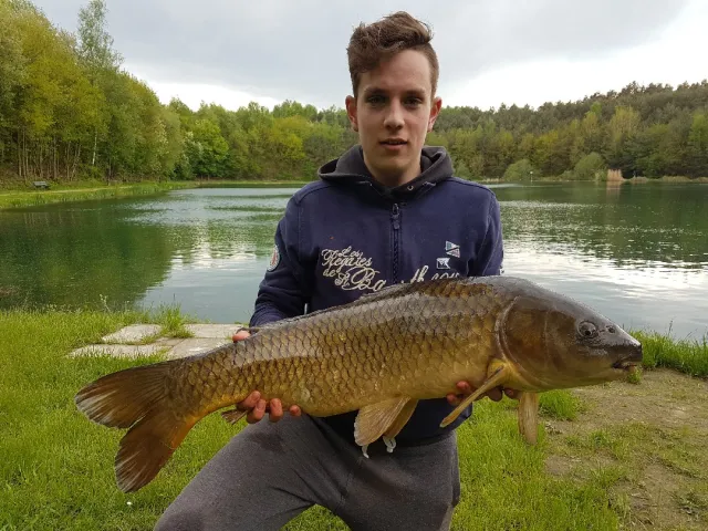 Karpfen