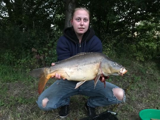 Karpfen