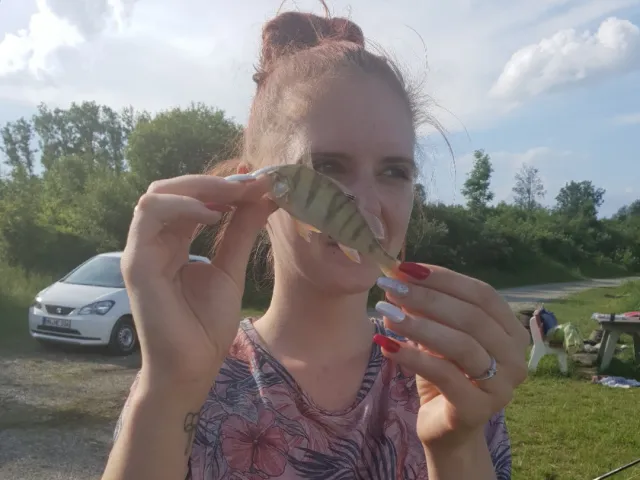 Flussbarsch