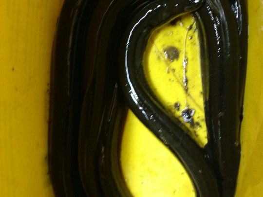 Aal