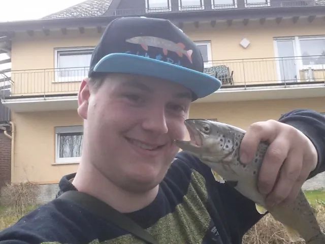 Bachforelle