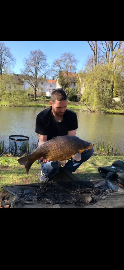 Karpfen