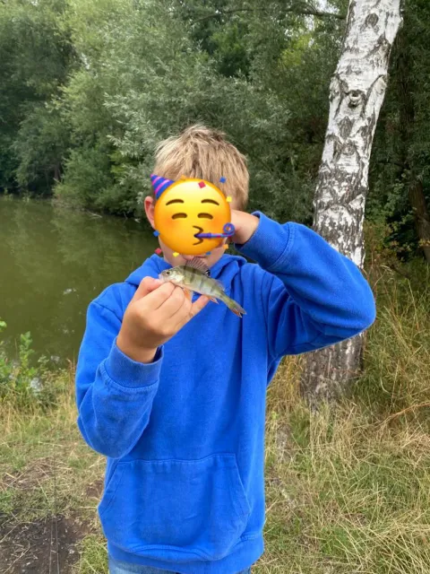 Flussbarsch