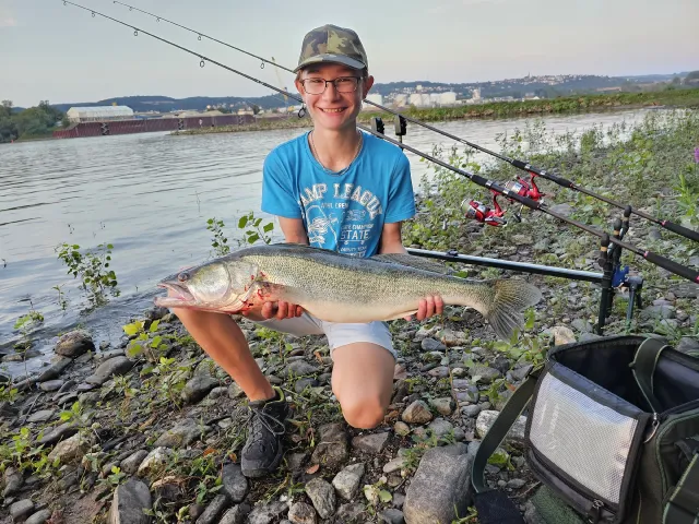 Zander