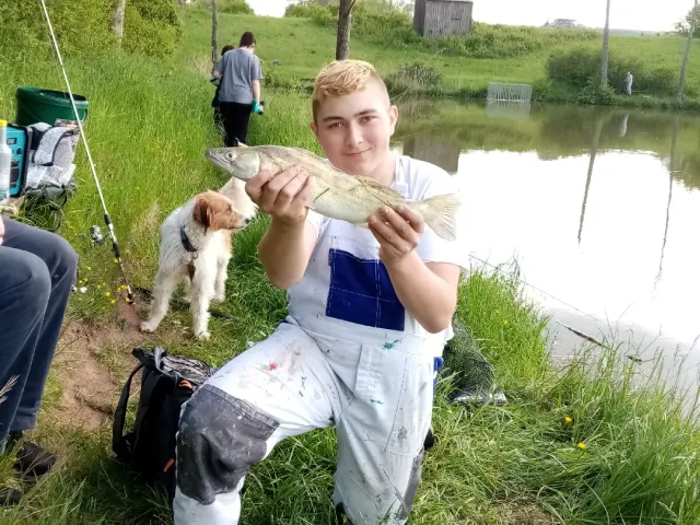 Zander