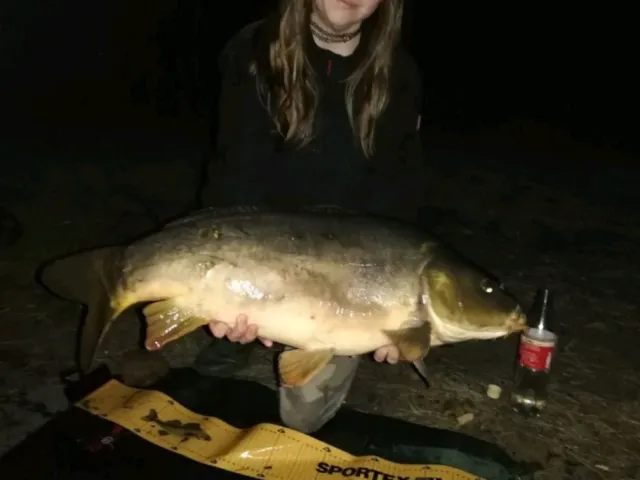 Karpfen