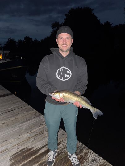 Zander