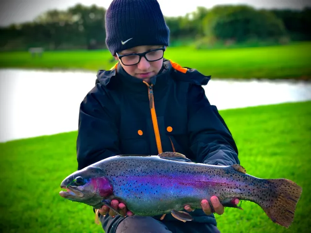 Regenbogenforelle