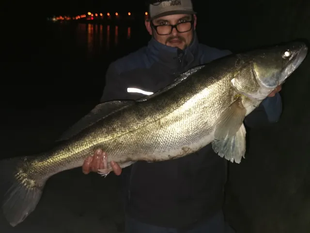 Zander