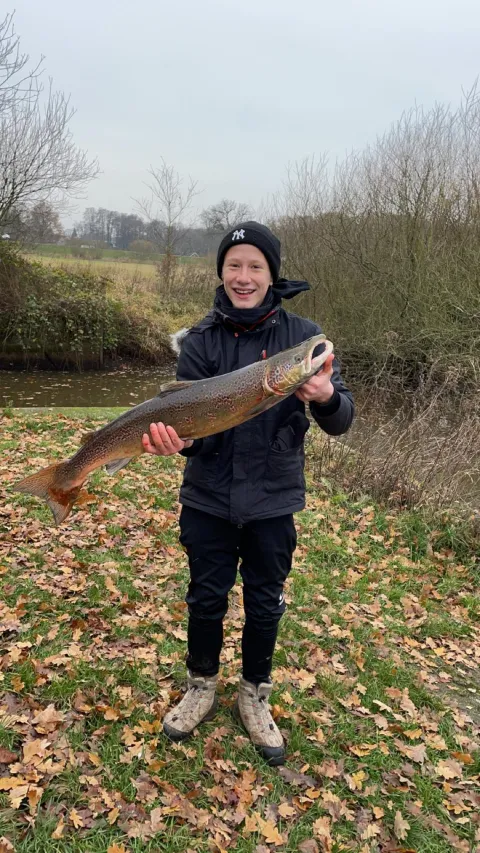 Lachs