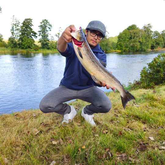 Lachs