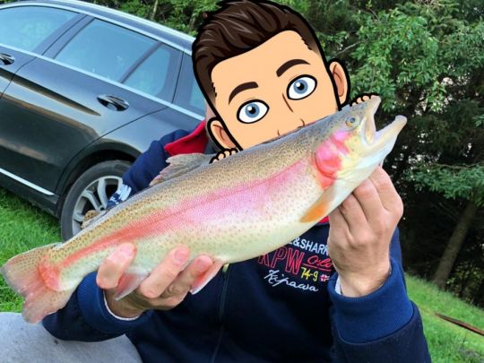 Regenbogenforelle